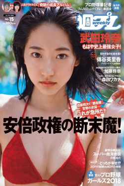 百度看片